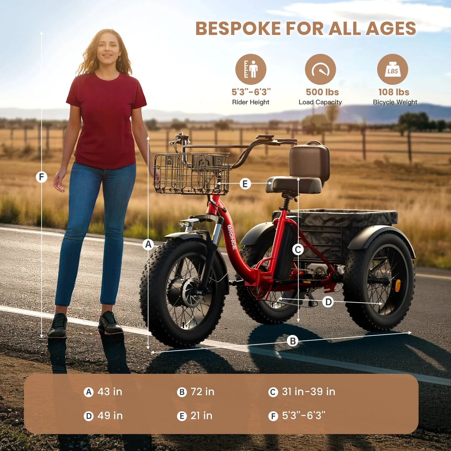 QRONGE Folding Electric Tricycle 960W Peak Motor 36V 13.5Ah Battery