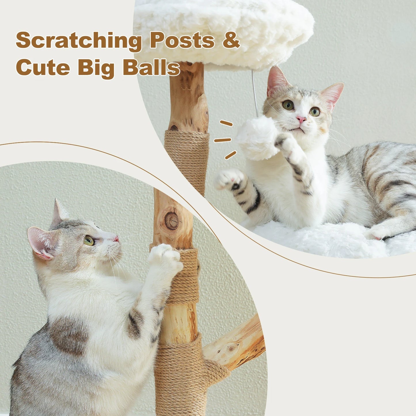 PAWZ Road Flower Cat Tree Indoor Cat Tower Perches