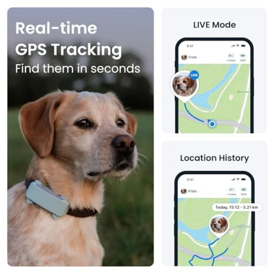 GPS Dog Tracker Real Time Location Health Alerts For Pets