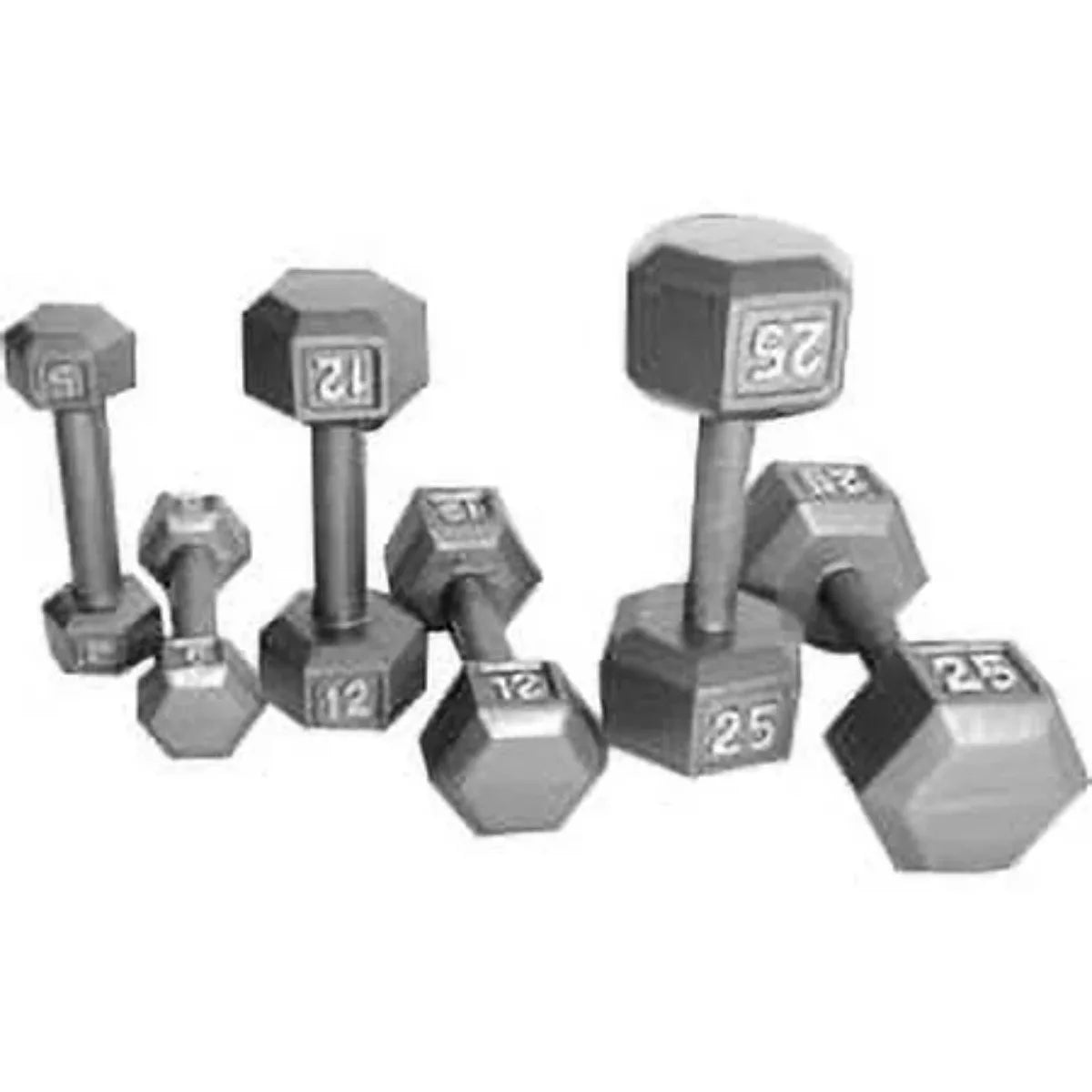 Sturdy Cast Iron Hex Dumbbell Non-Roll for Gym and Home
