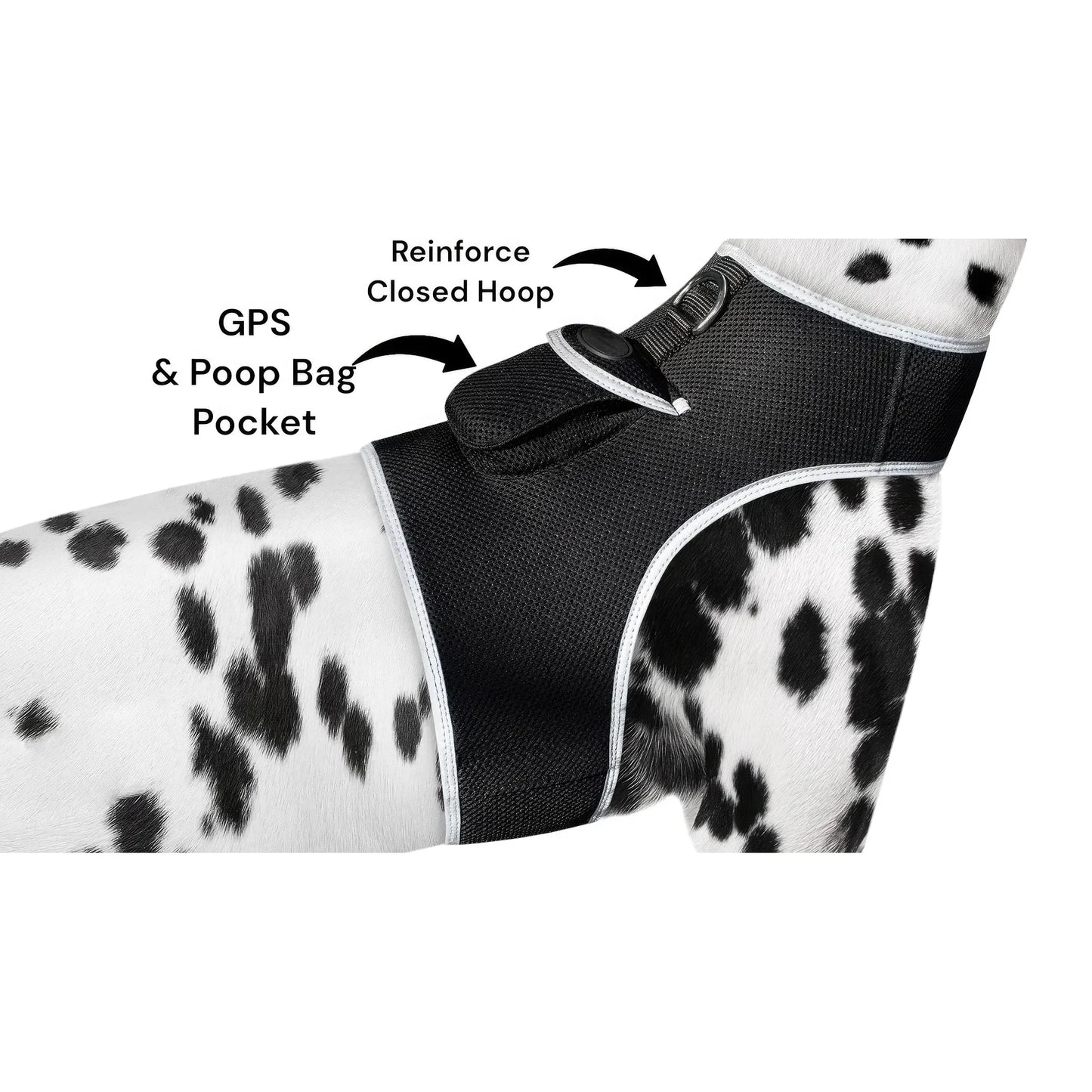 Smart Pet Tracker Real Time Android GPS Motion Detection