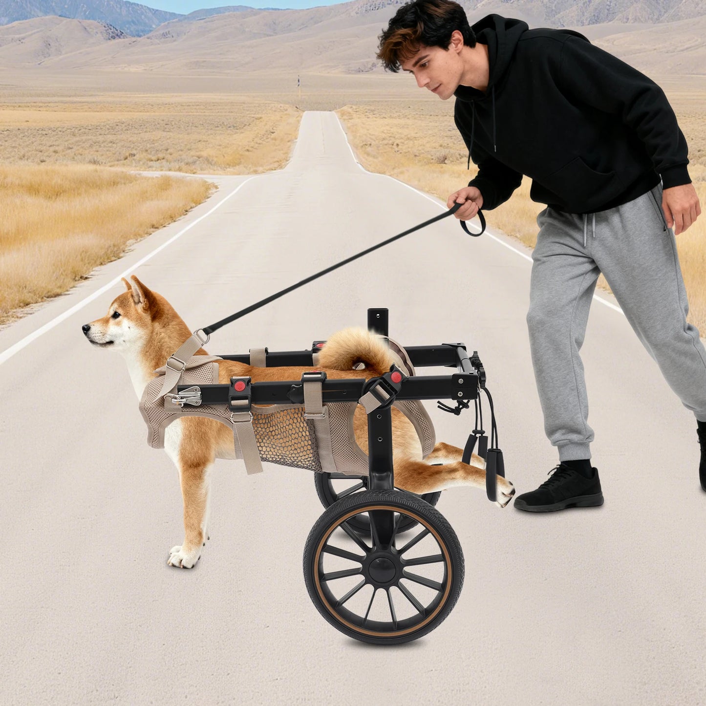 Bymaocar Adjustable Aluminum 2 Wheel Dog Wheelchair Up To 65kg
