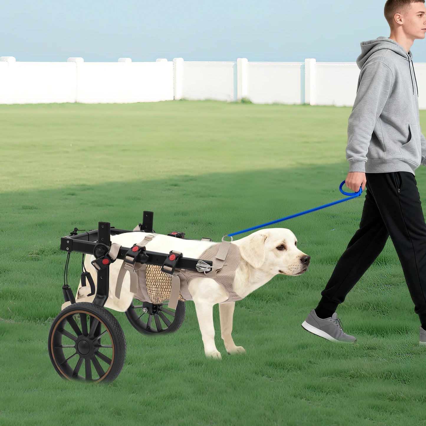 Bymaocar Adjustable Aluminum 2 Wheel Dog Wheelchair Up To 65kg