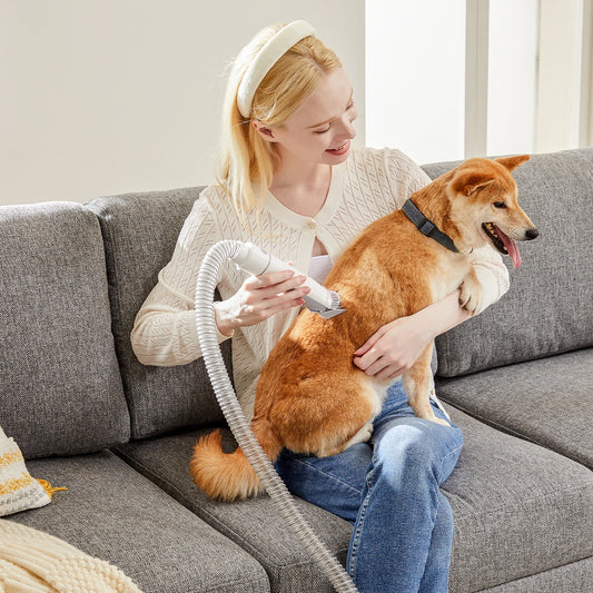 2.5L Pet Grooming Vacuum Kit With Cordless Low Noise Clippers For Cats