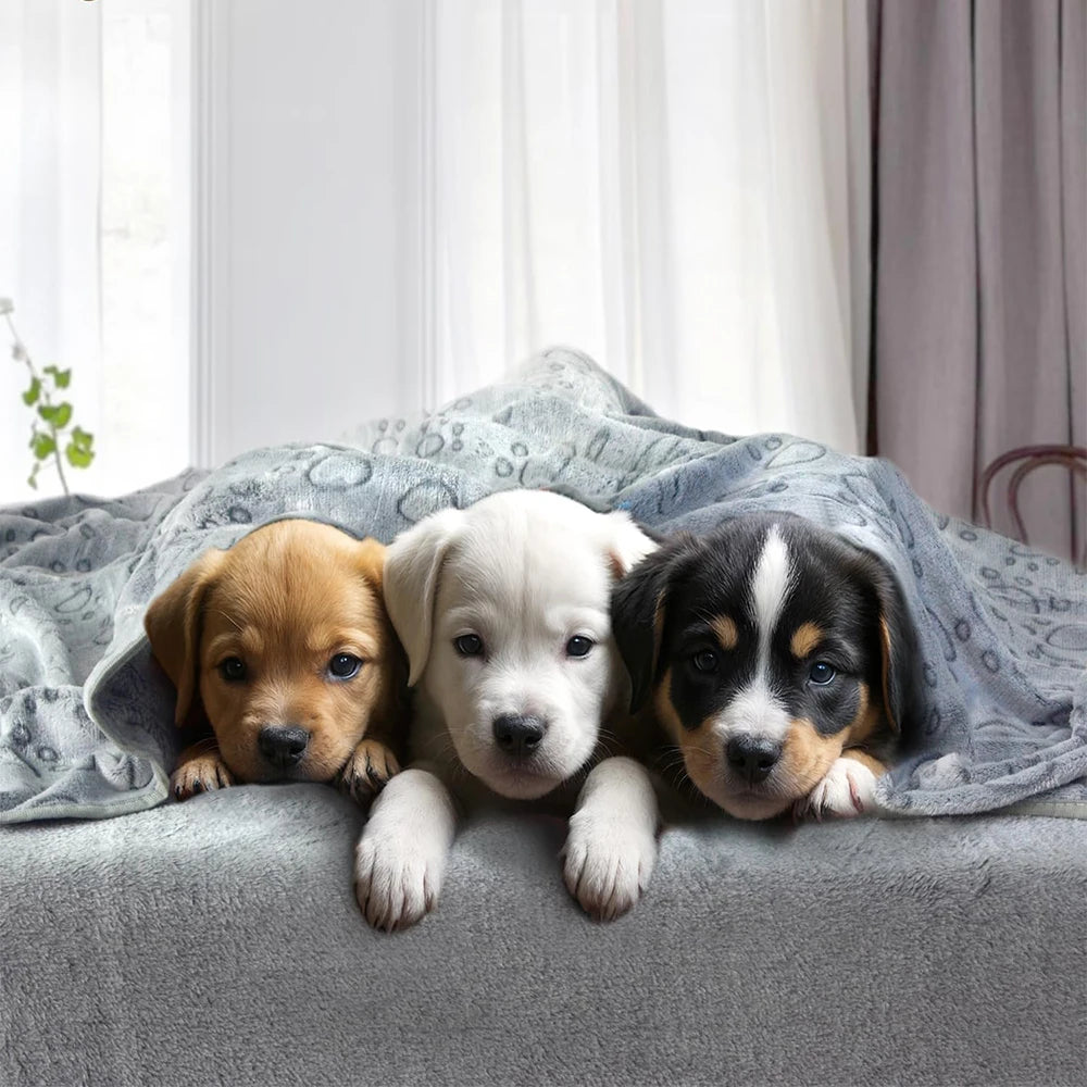Ultra Soft Paw Print Dog Blanket For Indoor Outdoor Washable