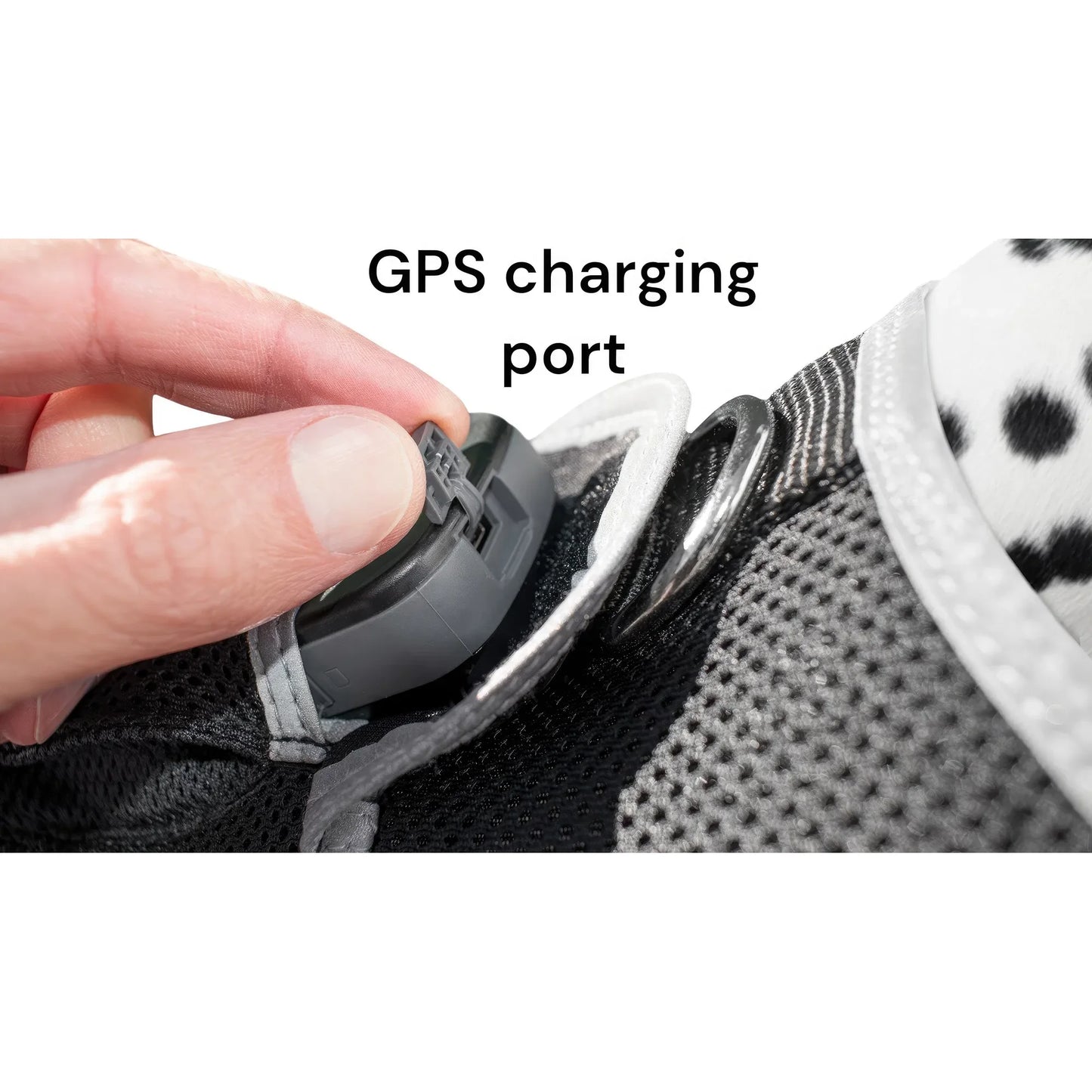 Smart Pet Tracker Real Time Android GPS Motion Detection