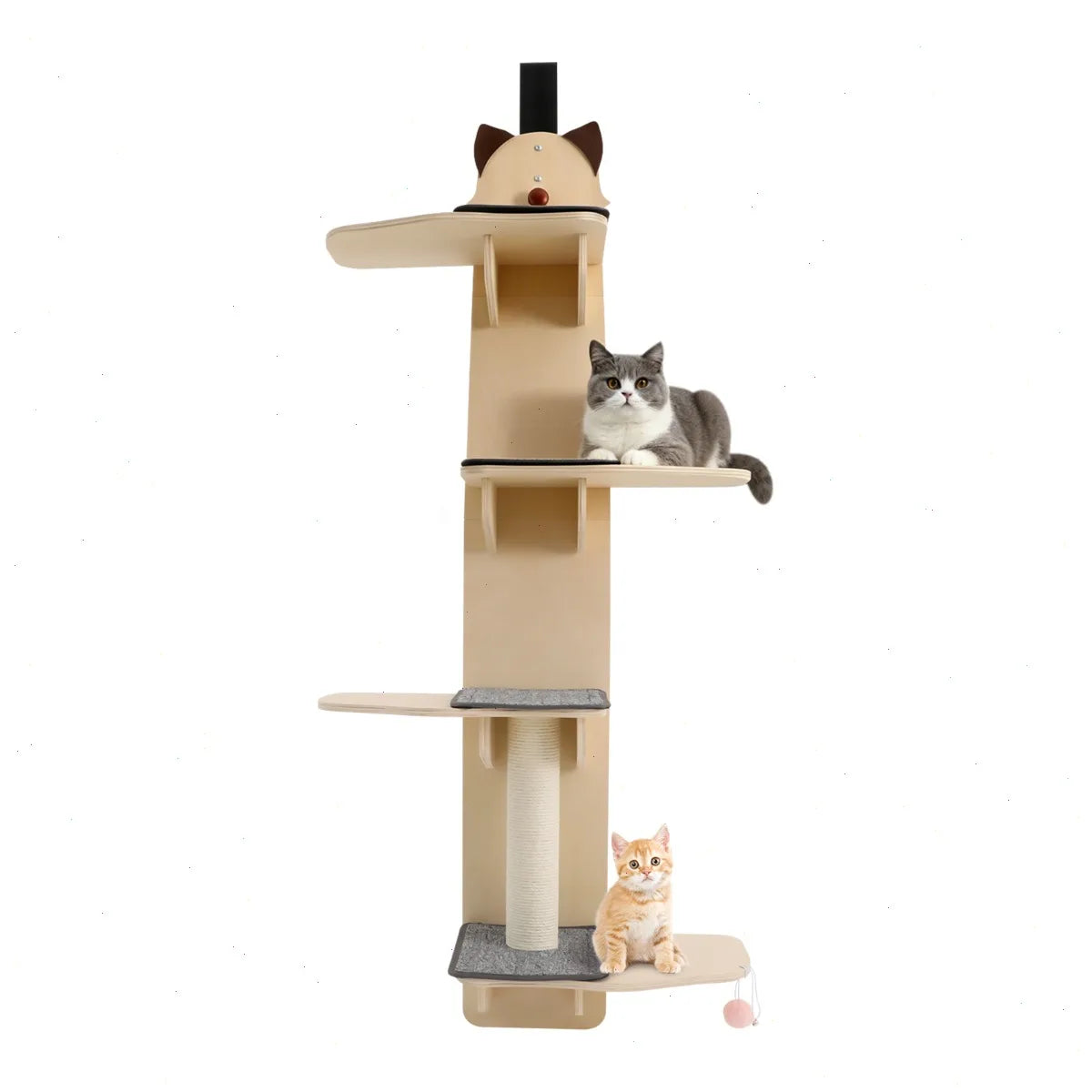 Door Hanging Cat Tree With Multi Level Climber Scratch Post Teaser Ball