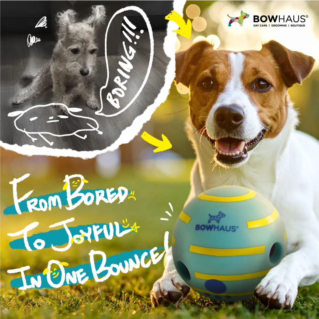 CAPHAUS Wobble Giggle Ball for Dogs Durable Indestructible Toy