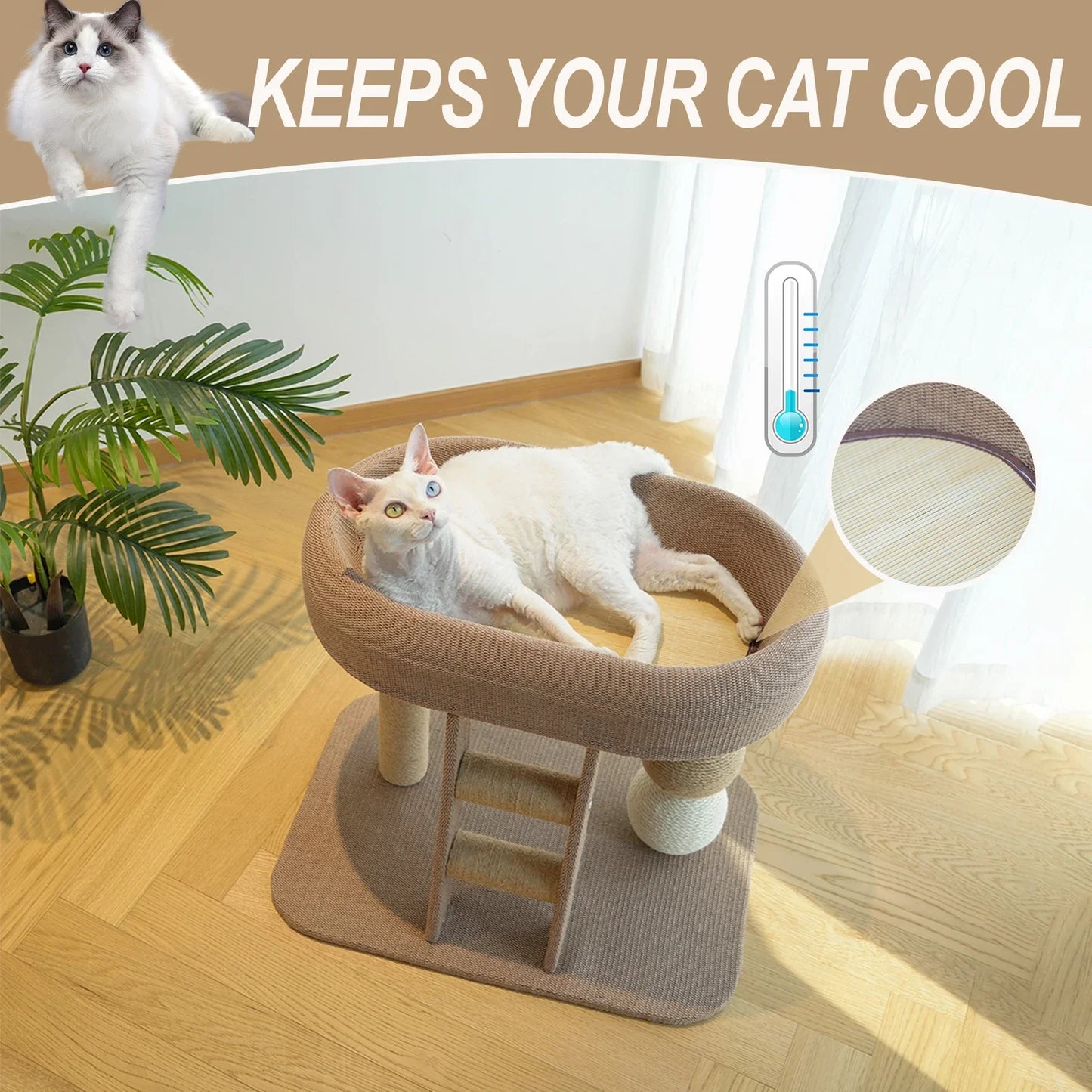 All In One Cat Tree With Sisal Scratching Post Ladder