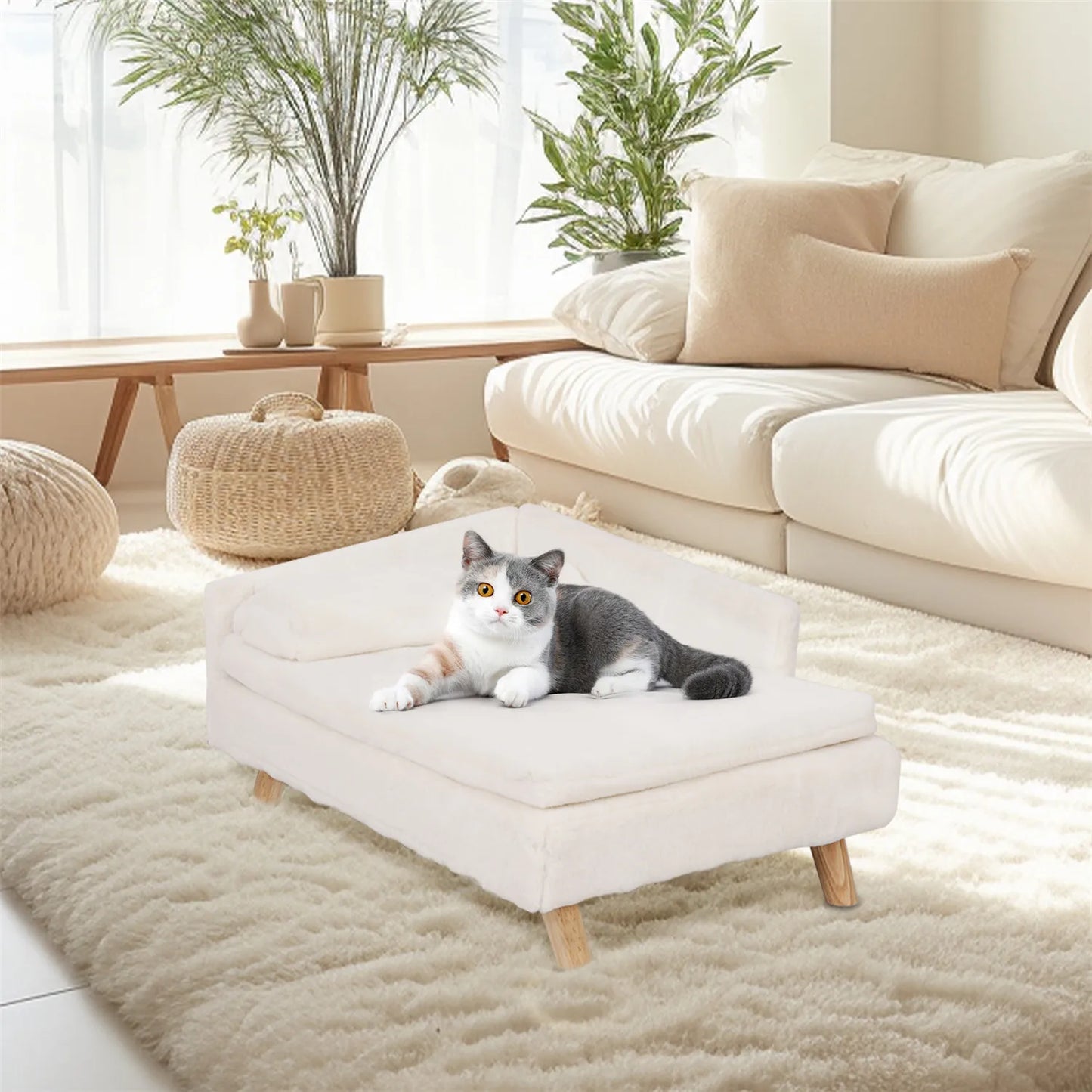 BINGOPAW Waterproof Raised Pet Sofa Bed for Dogs and Cats