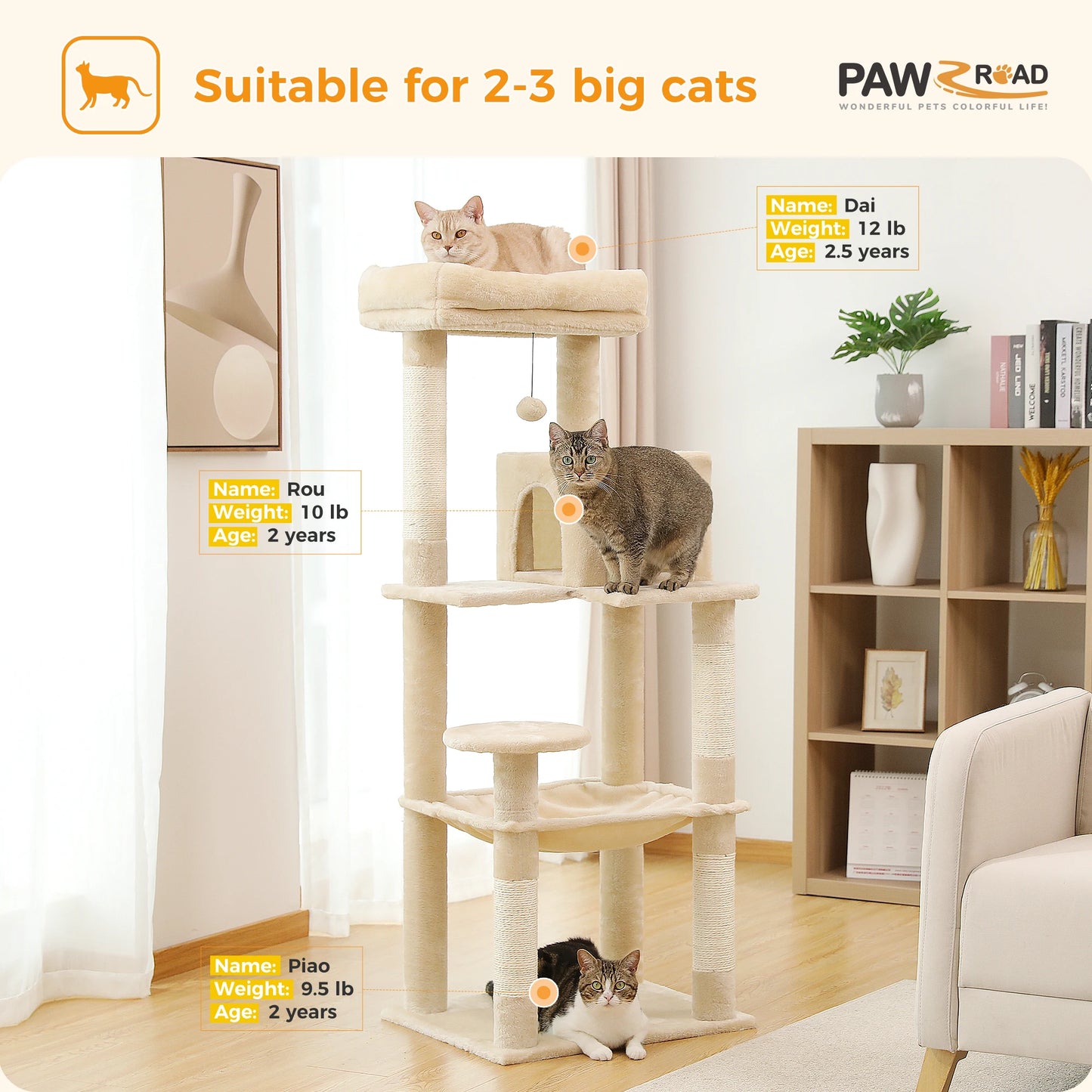 PAWZ Road Five-Level Cat Tree For Indoor Cats Perch Deluxe