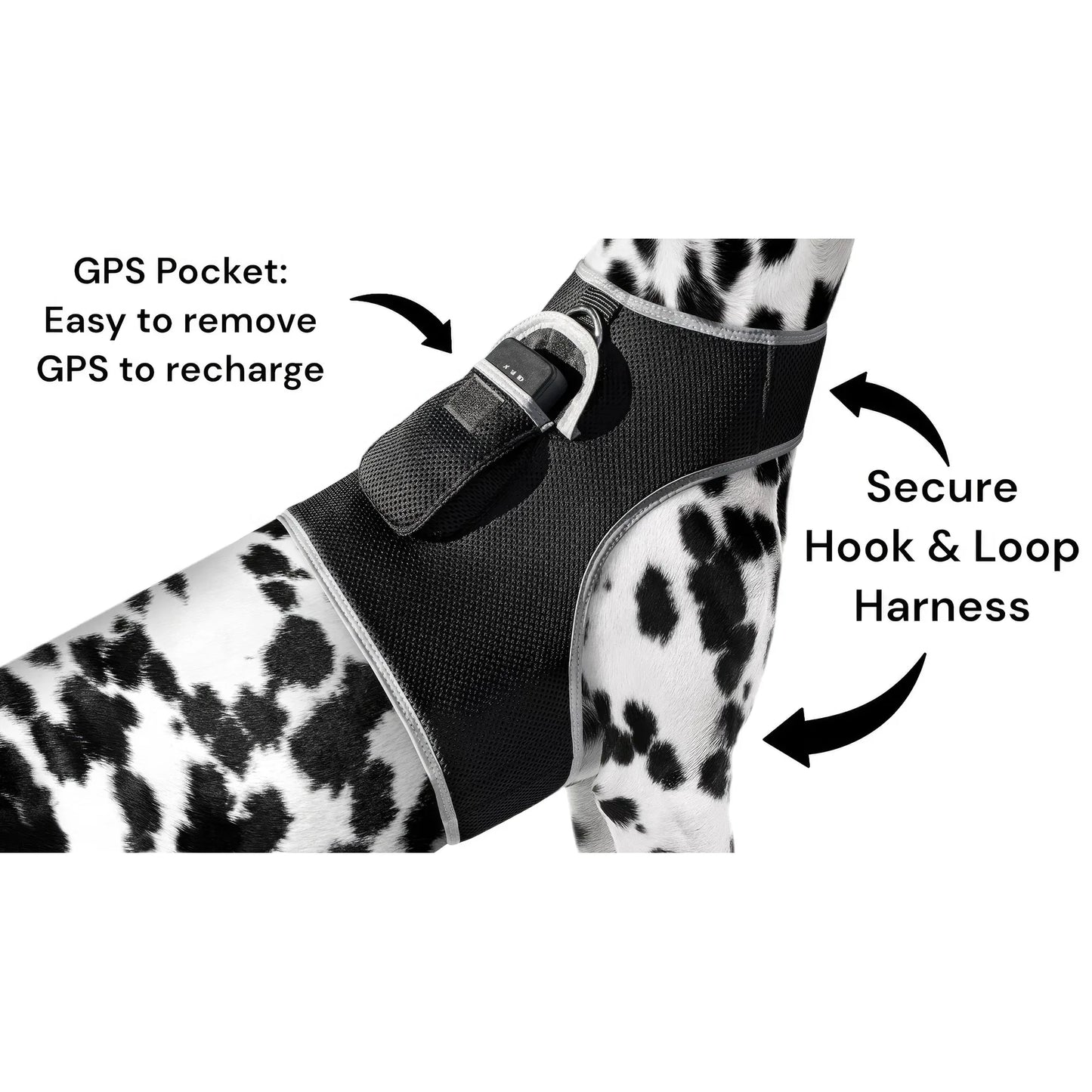 Smart Pet Tracker Real Time Android GPS Motion Detection