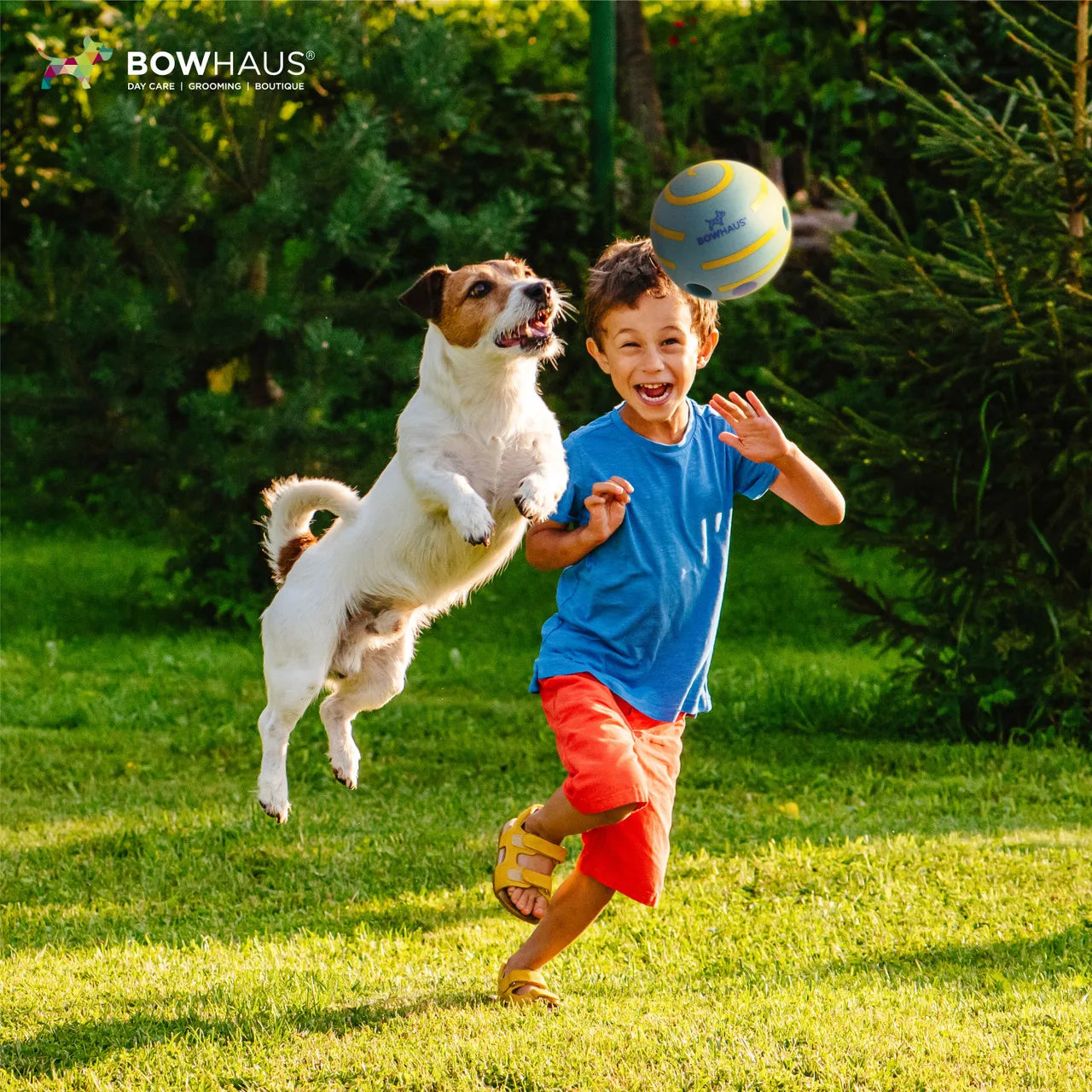 CAPHAUS Wobble Giggle Ball for Dogs Durable Indestructible Toy