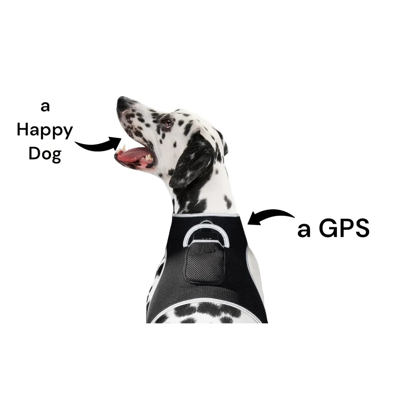 Smart Pet Tracker Real Time Android GPS Motion Detection