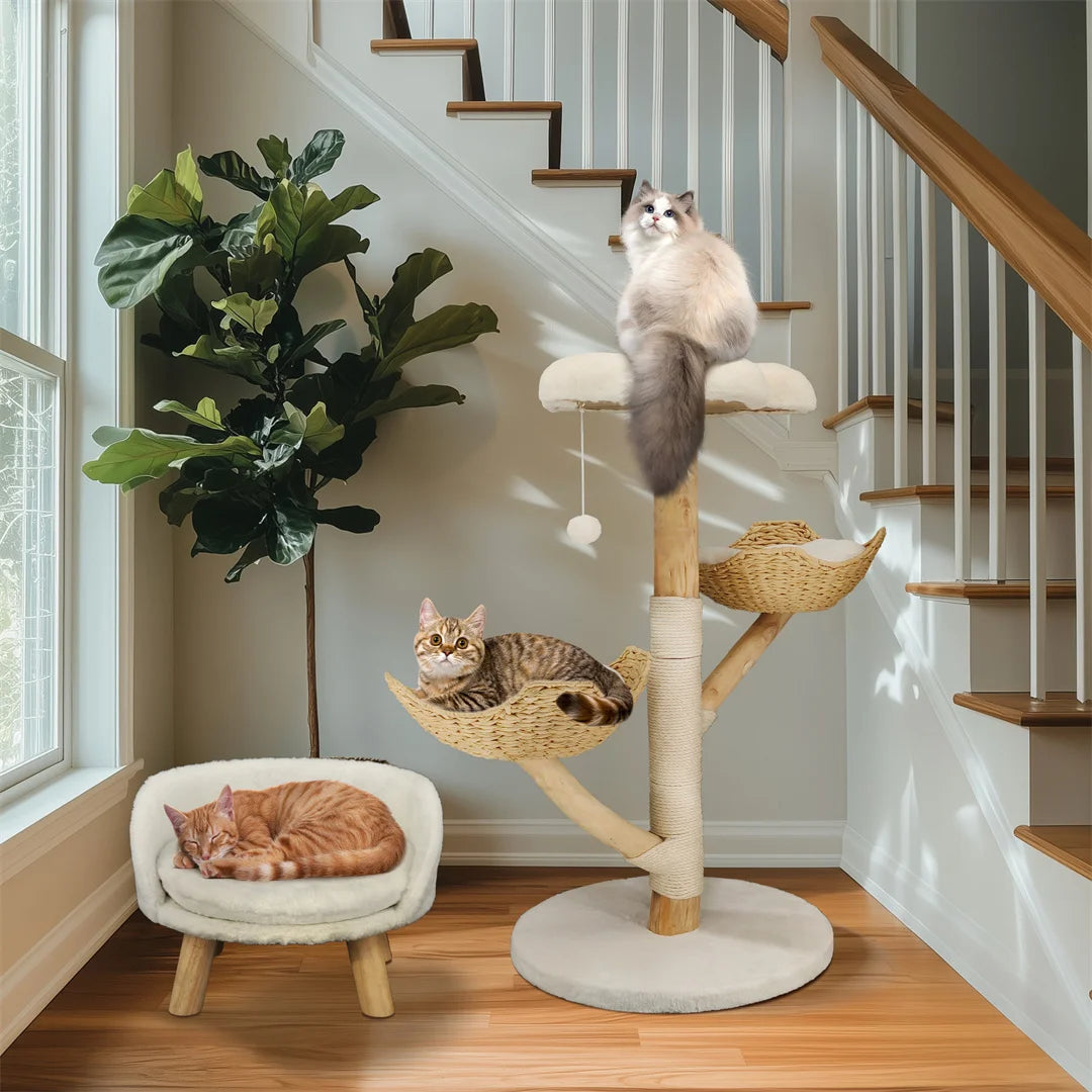 BINGOPAW Cat Climbing Tree Solid Wood Activity Center Scratching Post