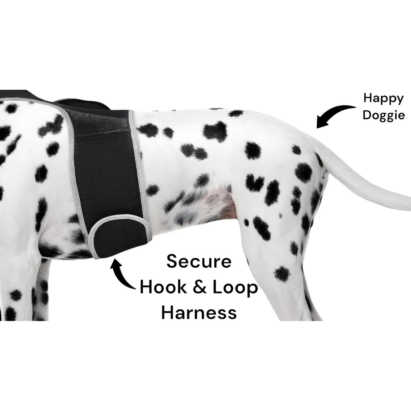 Smart Pet Tracker Real Time Android GPS Motion Detection