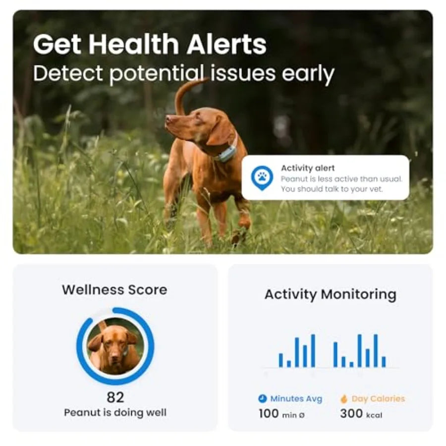 GPS Dog Tracker Real Time Location Health Alerts For Pets